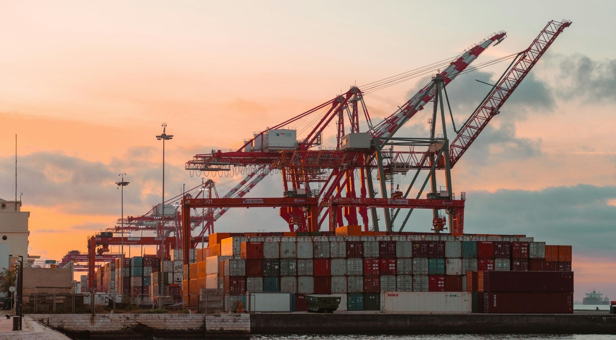 Dia Internacional das Aduanas!